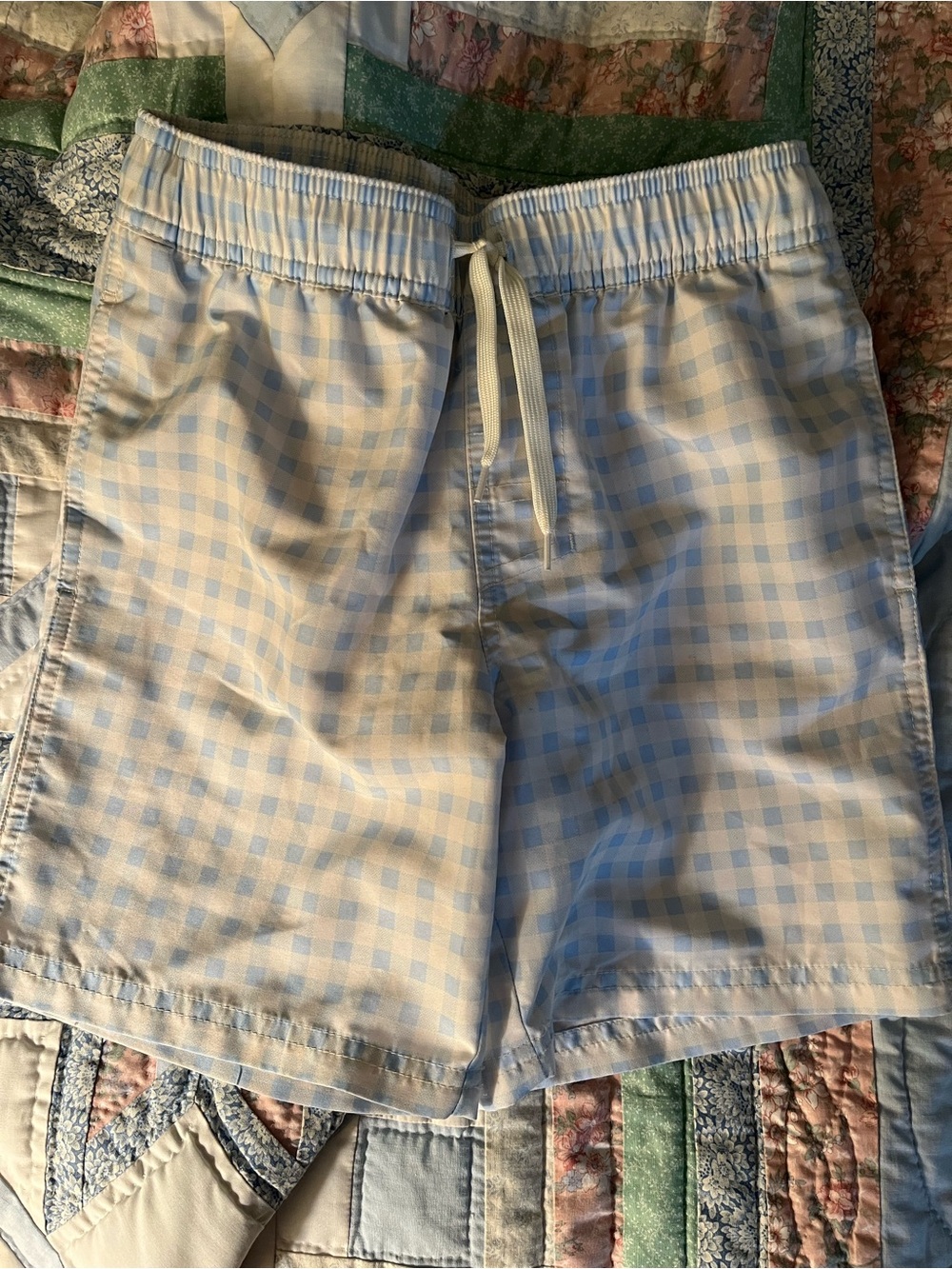 Cat & Jack Blue and White Gingham Swim Trunks
